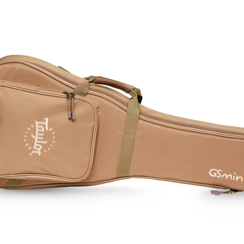 Taylor GS Mini PU付　アコースティックギター ケース付き Taylor GS Mini PU付 アコースティックギター ケース付き Taylor